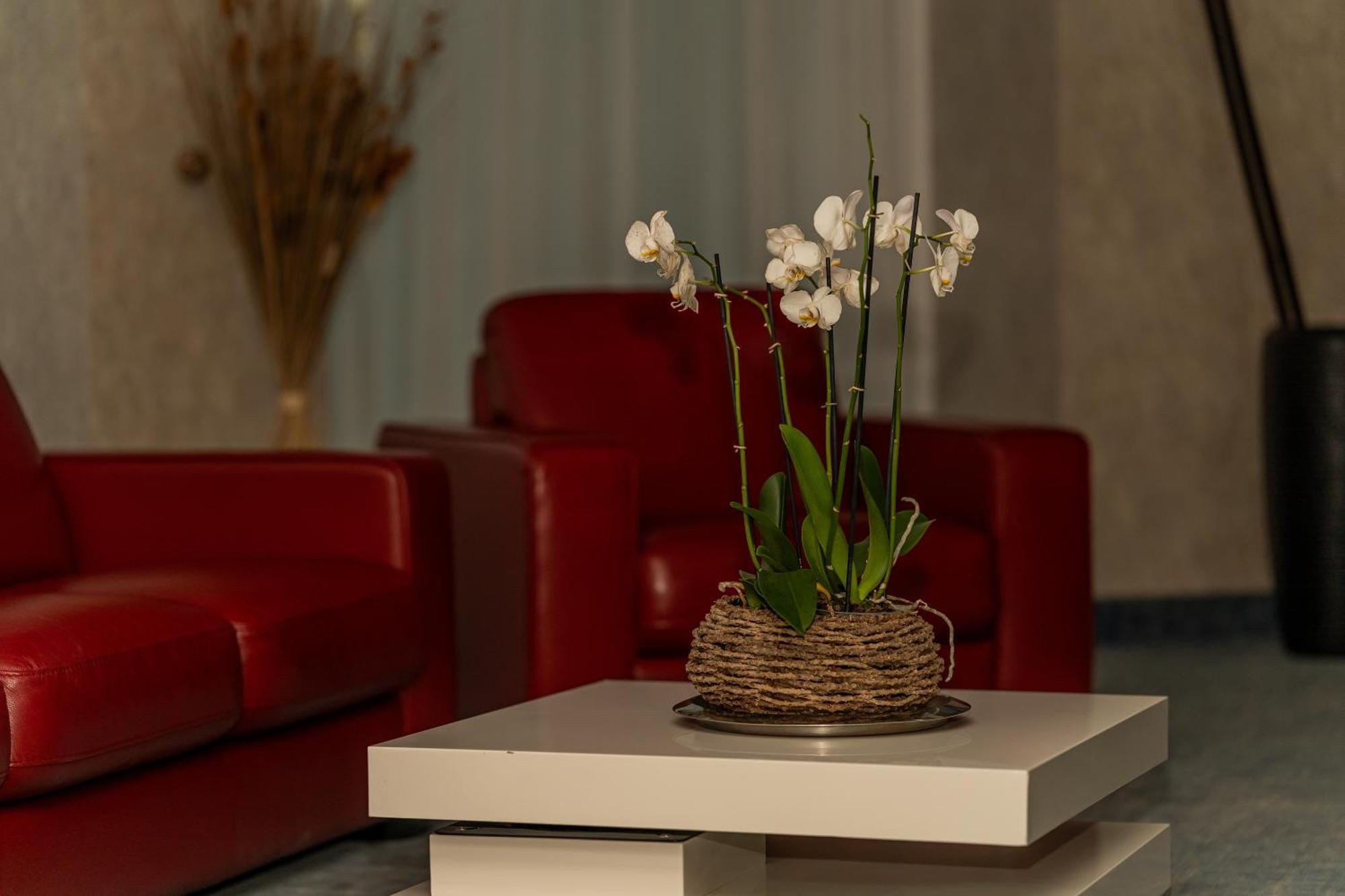 Alcor Hotel Mamaia